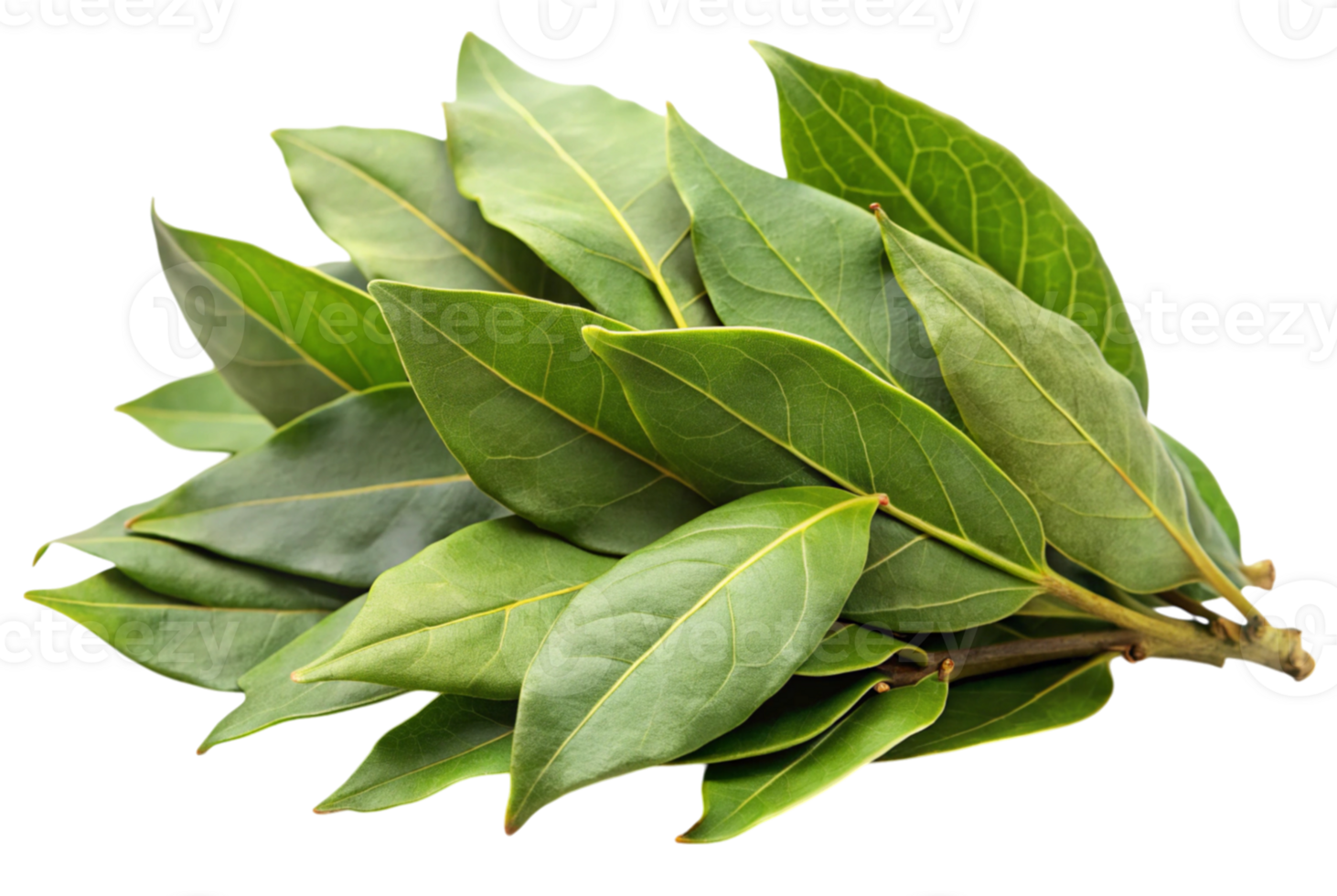 Bay leaves are essential for Mediterranean cooking staples png