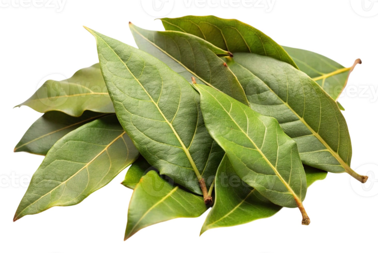 Bay leaves enhance the taste of savory recipes png
