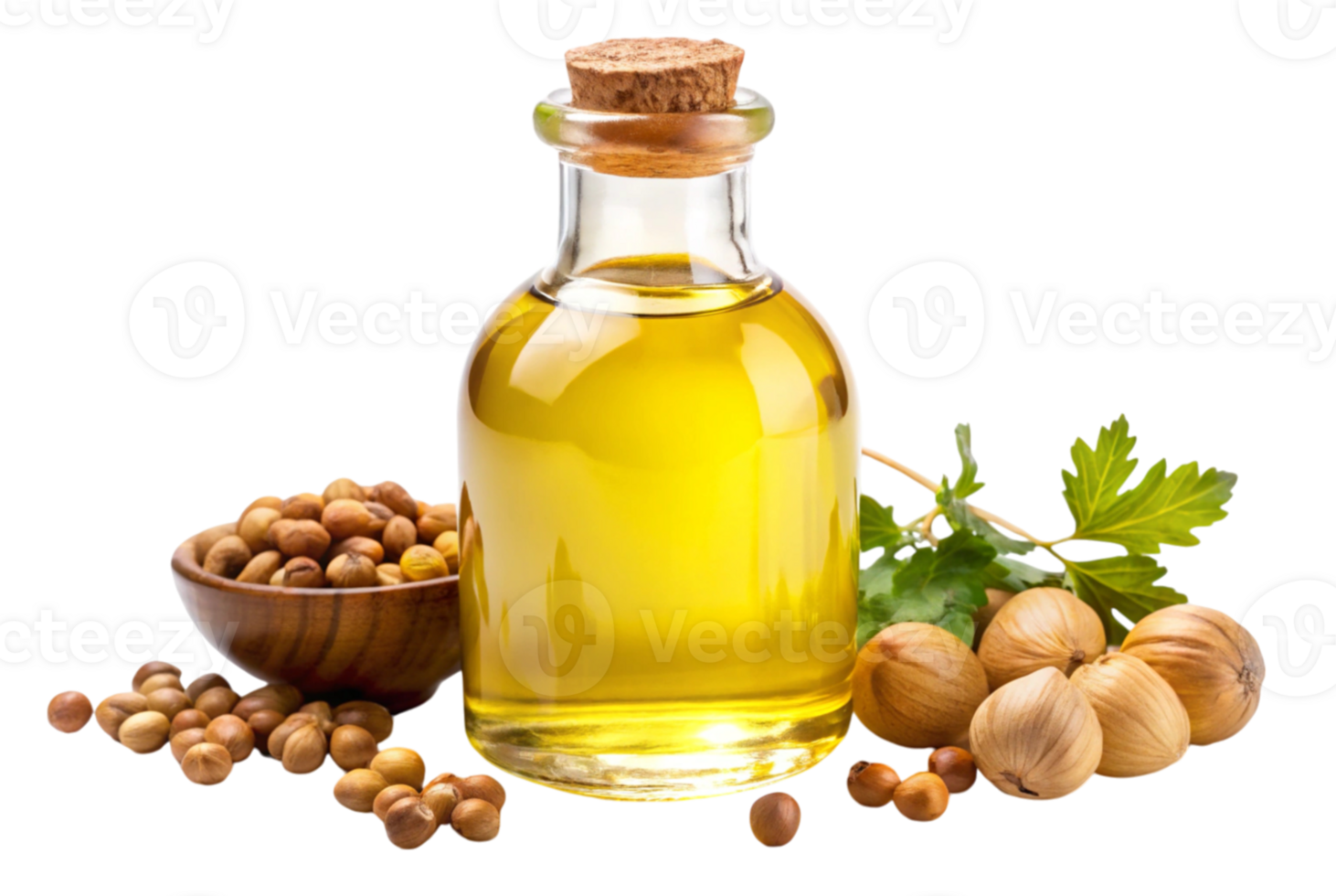 Bellyful oil promotes digestion and boosts overall wellness png