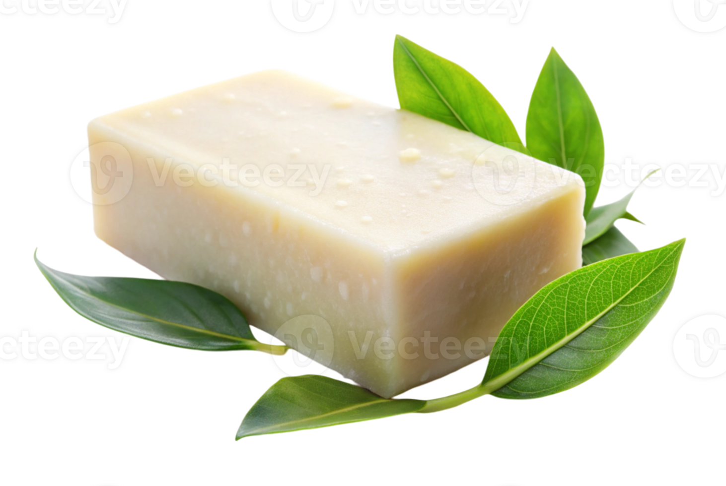 Biodegradable soap makes eco-friendly cleaning easy and effective png