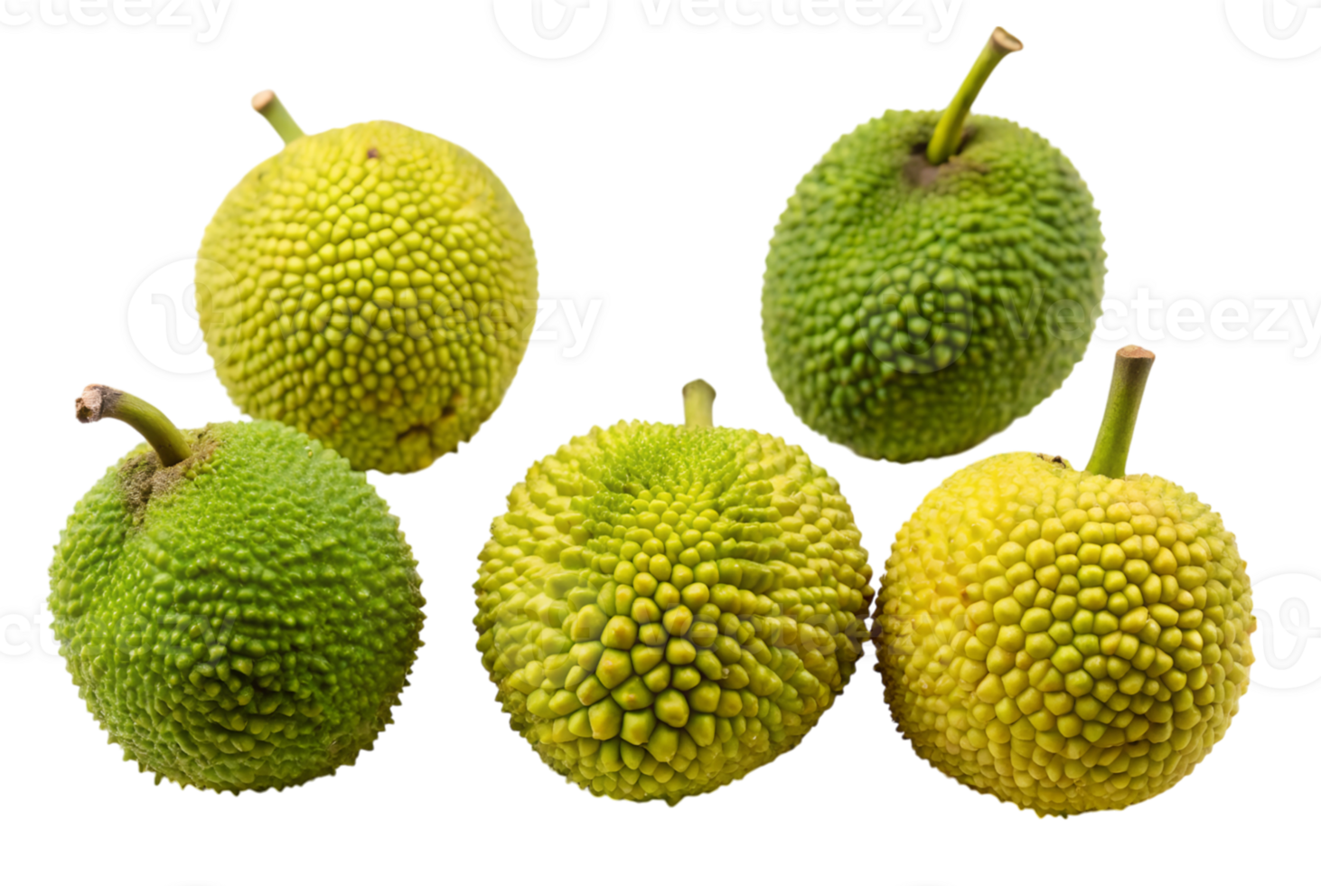Breadfruit Discover Unique Cooking Methods and Techniques png