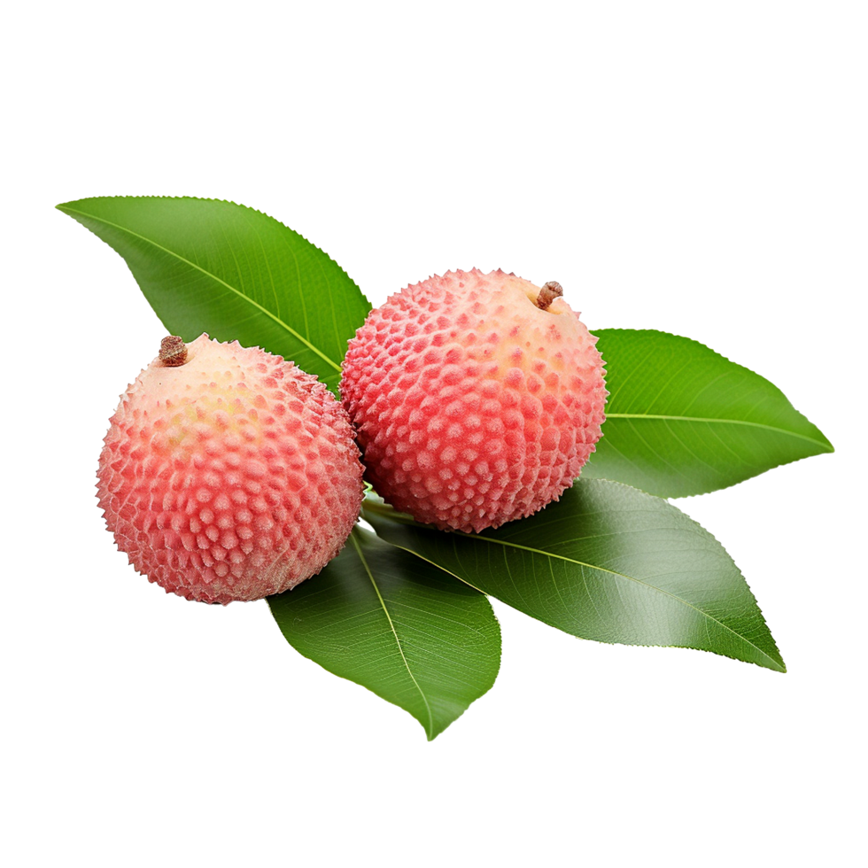 Fresh Lychees on Green Leaves Tropical Fruit Delight png