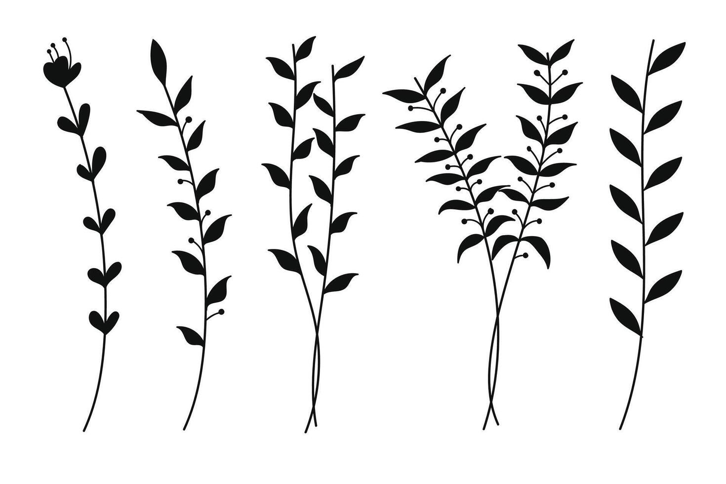 Silhouette Botanical Set with Tree Branches and Leaves. Illustration vector