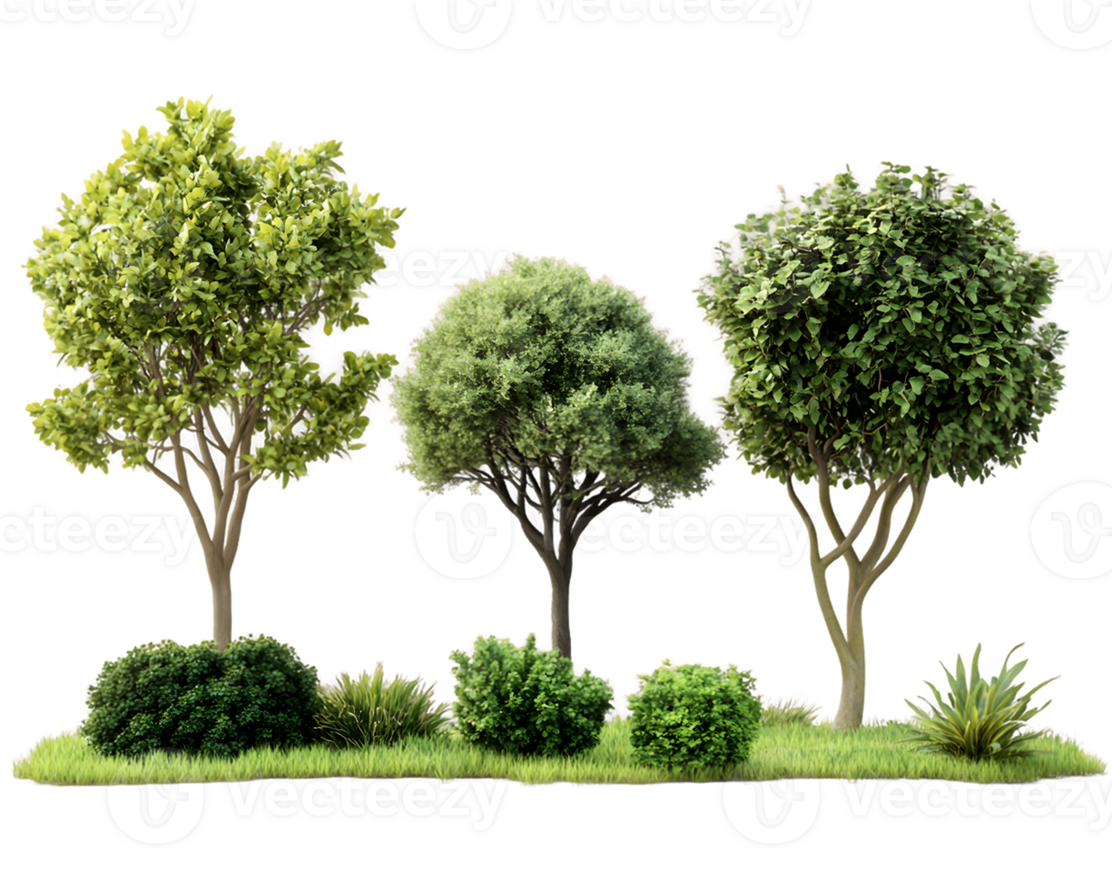 Three Lush Green Trees with Shrubs and Grass png