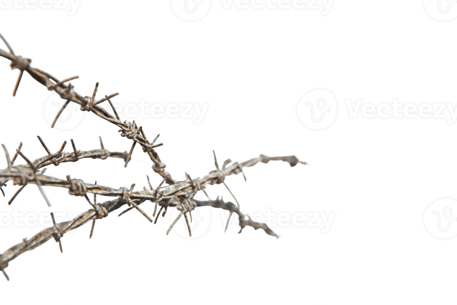Entangled Barbed Wire Branches png