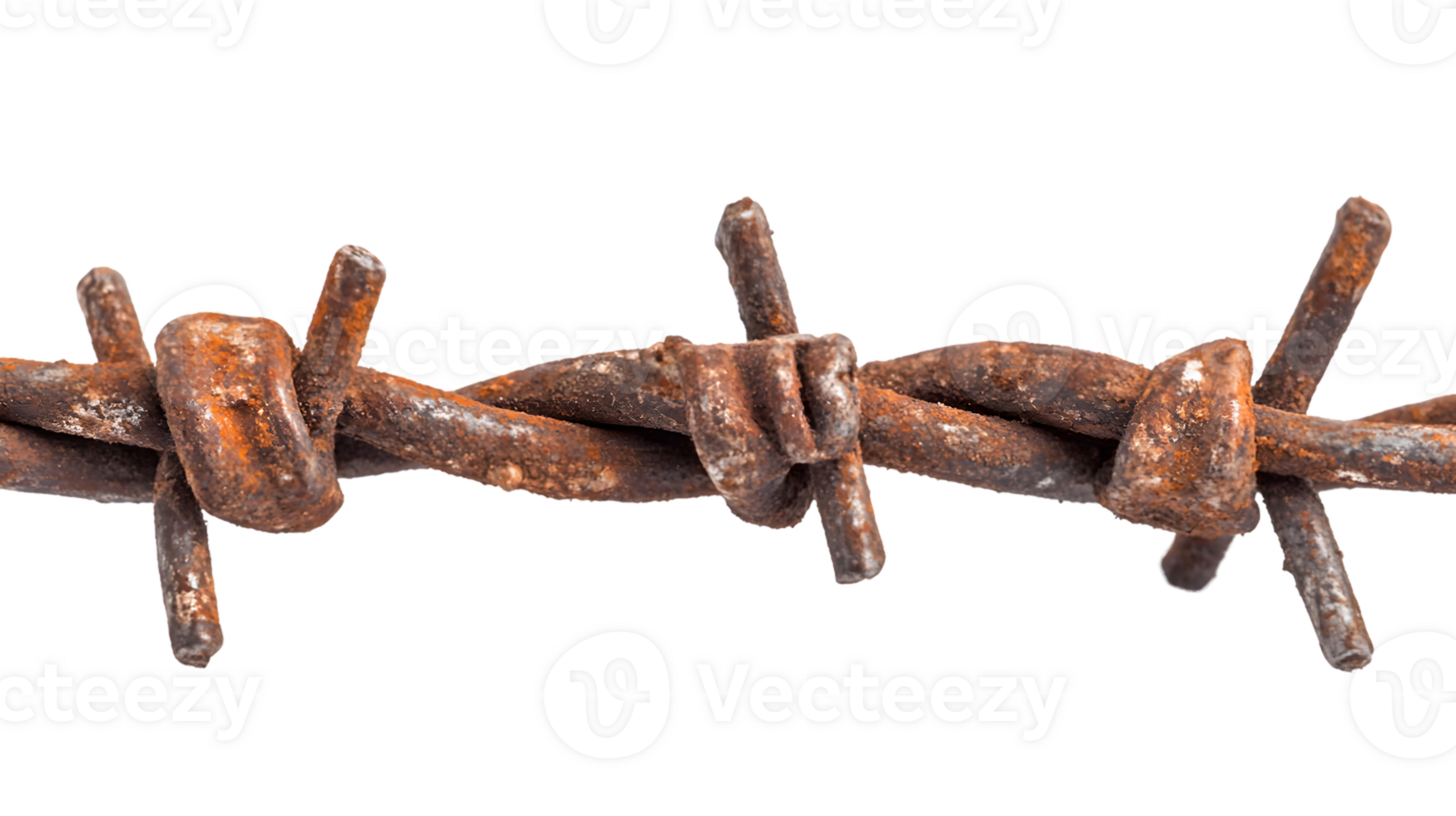 Rusty Barbed Wire Fence Close-Up png