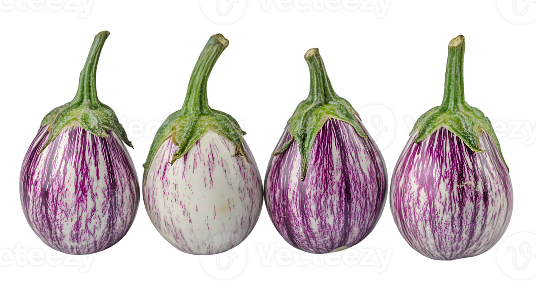Four vibrant speckled eggplants in a row png