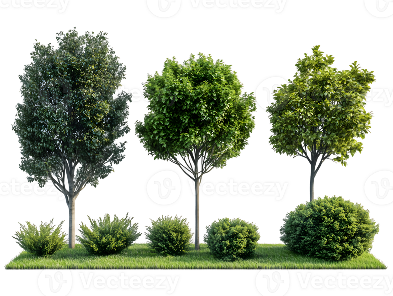 Three lush green trees and shrubs on a grassy patch 3D rendering png