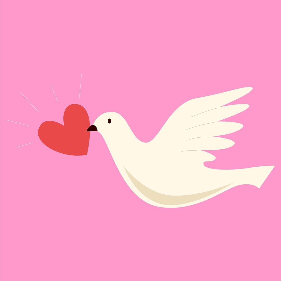 Dove carrying a heart vector