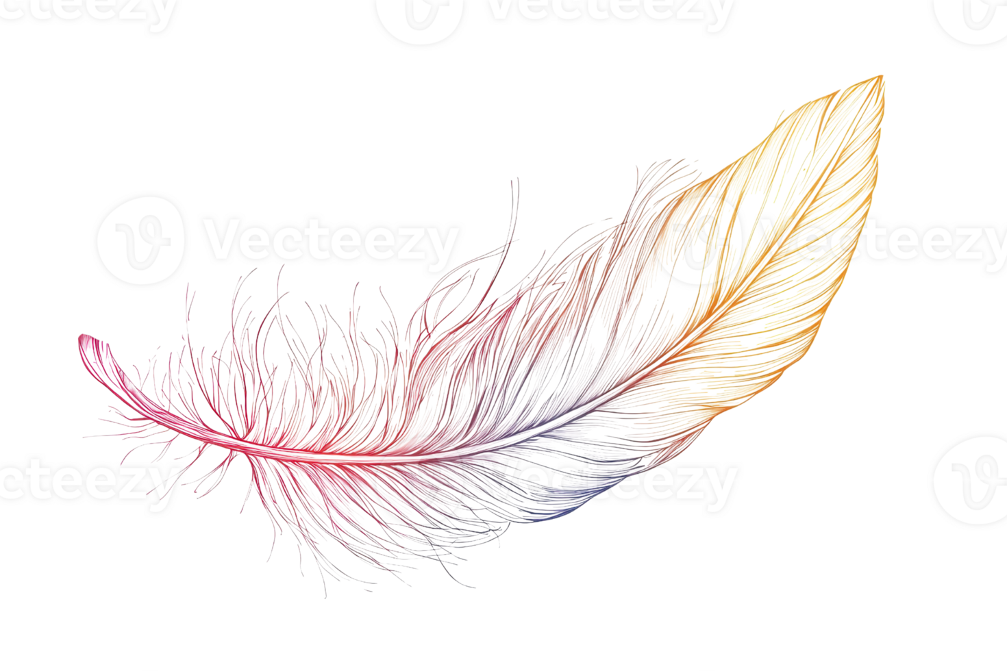 Vibrant multicolored feather on transparent background, symbolizing lightness and creativity. Perfect for art and design themes in stock photography. png