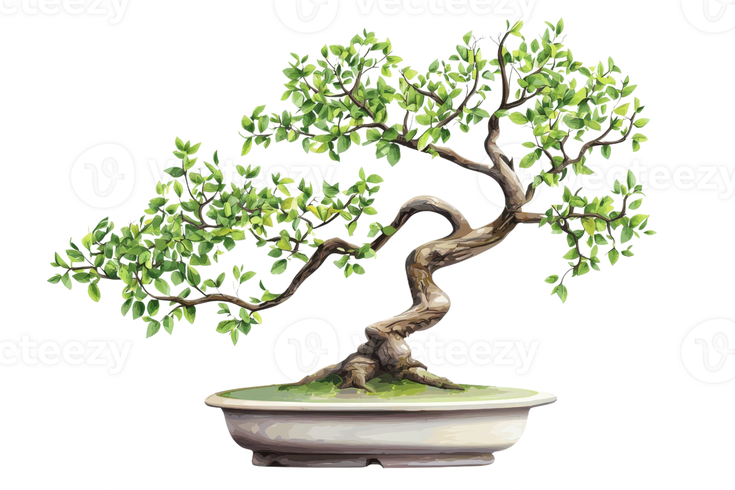 A beautiful, artistic bonsai tree with lush green leaves in a ceramic pot, showcasing nature's beauty and craftsmanship in miniaturized form. png
