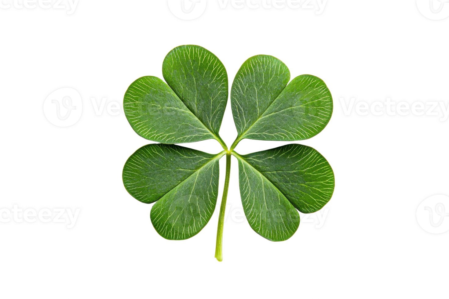 A vibrant four-leaf clover symbolizing luck and prosperity, isolated on a transparent background. perfect for St. Patrick's Day themes. png