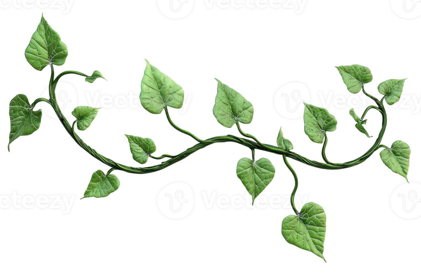 Elegant green vine with heart-shaped leaves, perfect for nature-themed designs and backgrounds. A symbol of growth and connection. png