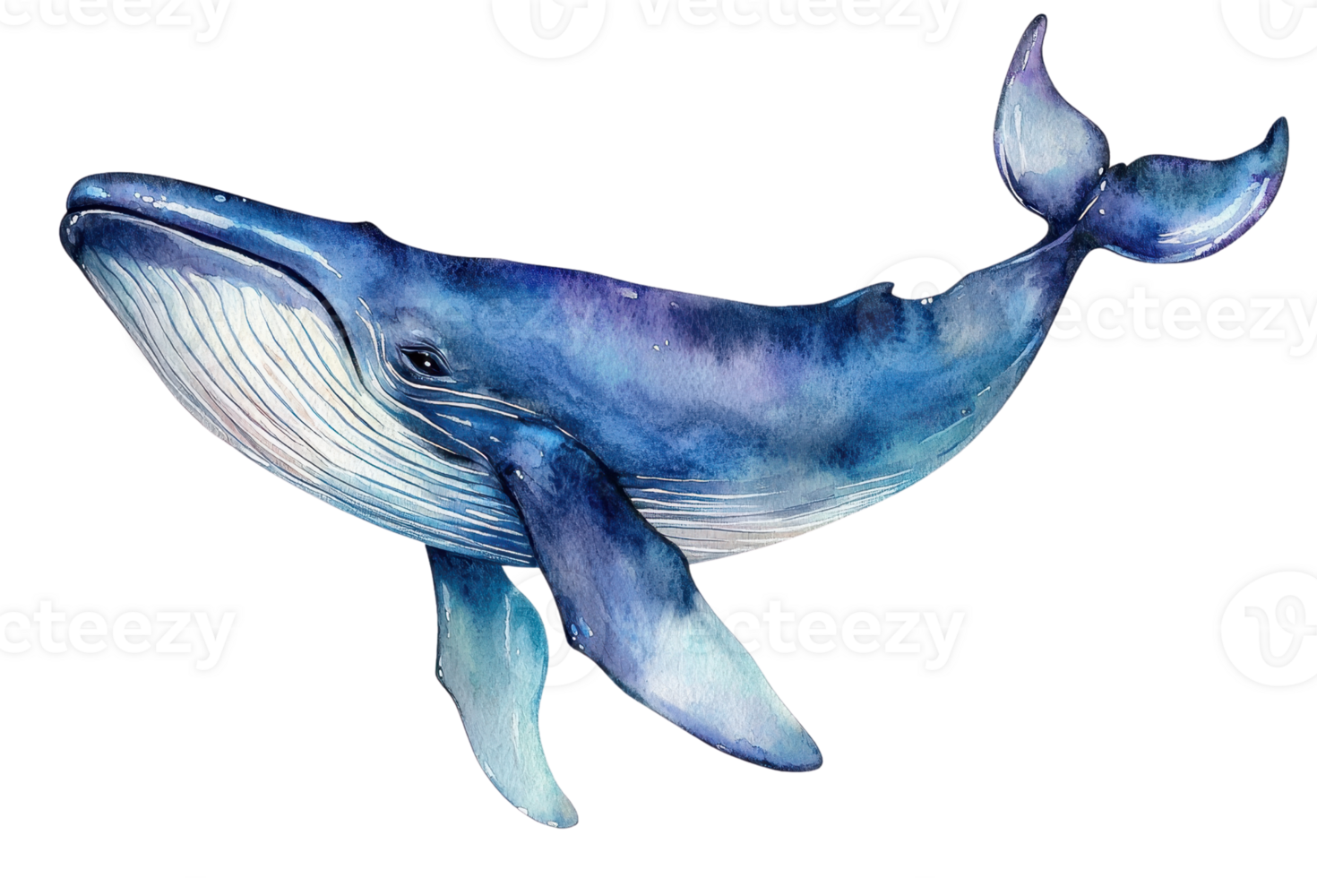 Illustration of a majestic blue whale swimming gracefully in watercolor style. Perfect for oceanic, nautical, and marine-themed designs. png