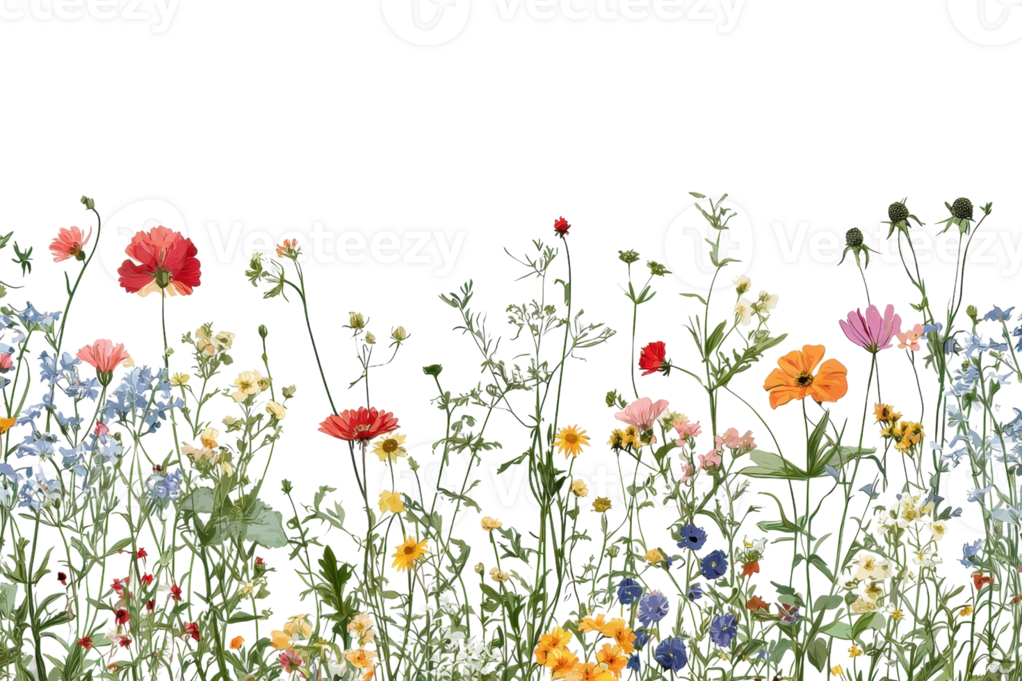 Vibrant field of wildflowers in full bloom, showcasing a colorful array of blossoms under a clear sky, capturing the essence of springtime beauty. png
