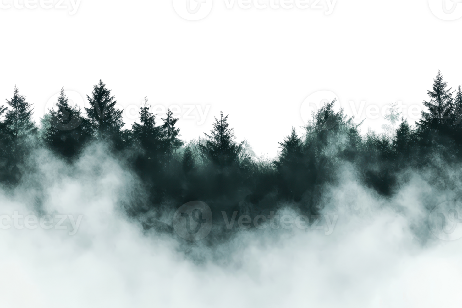 Mystical forest shrouded in dense fog, creating an enchanting and mysterious atmosphere perfect for nature or fantasy themes. png