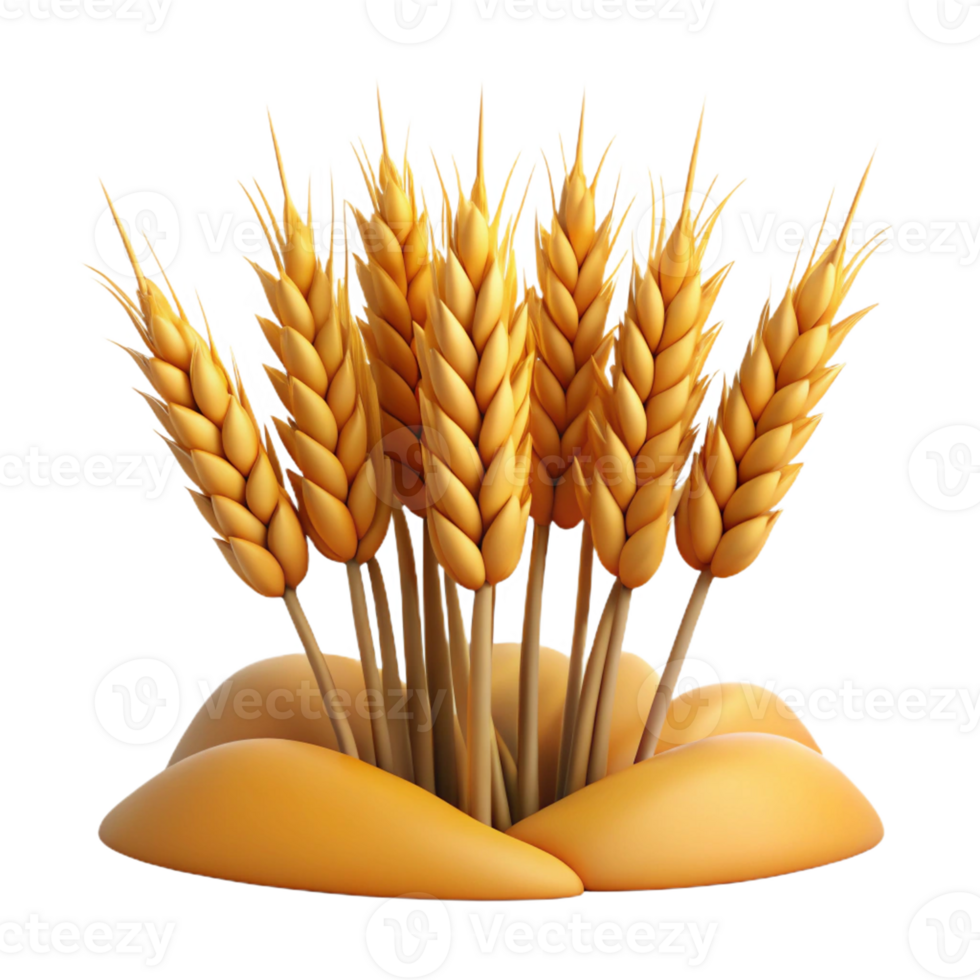 golden wheat stalks in a vast field png