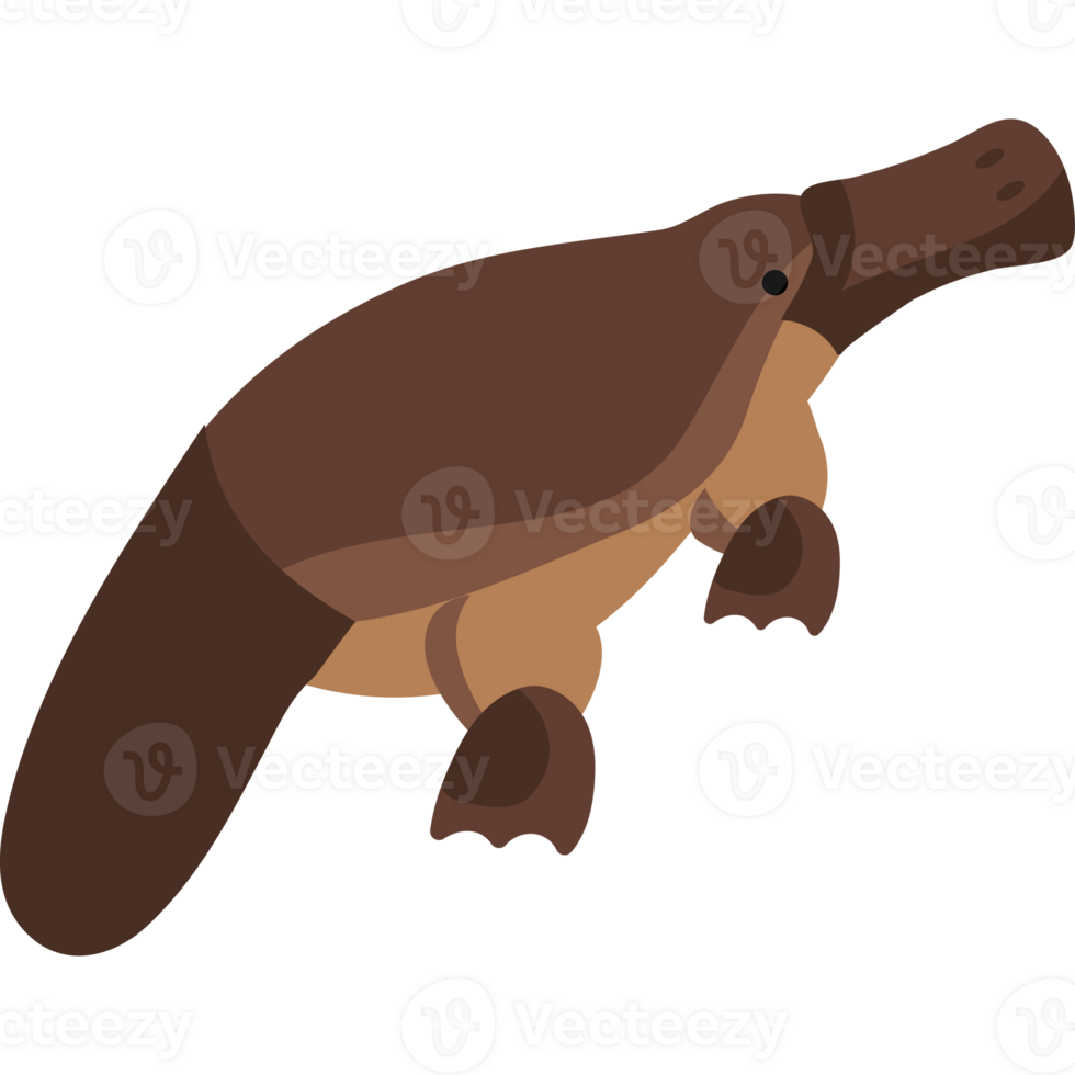 A brown and white platypus on a black background png