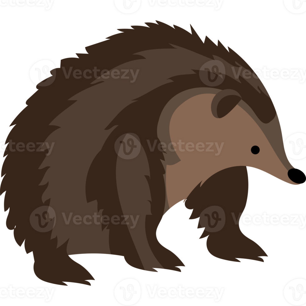 A hedgehog is standing on its hind legs png