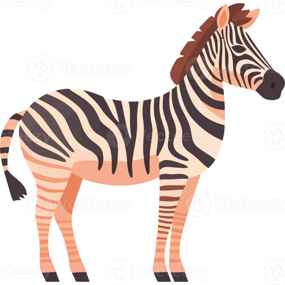 Striped zebra standing on savannah, a beautiful animal in nature isolated png