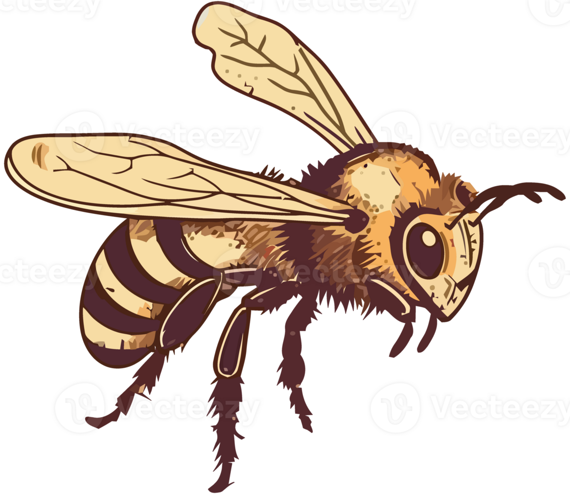 Buzzing bee pollinates flower insect isolated png