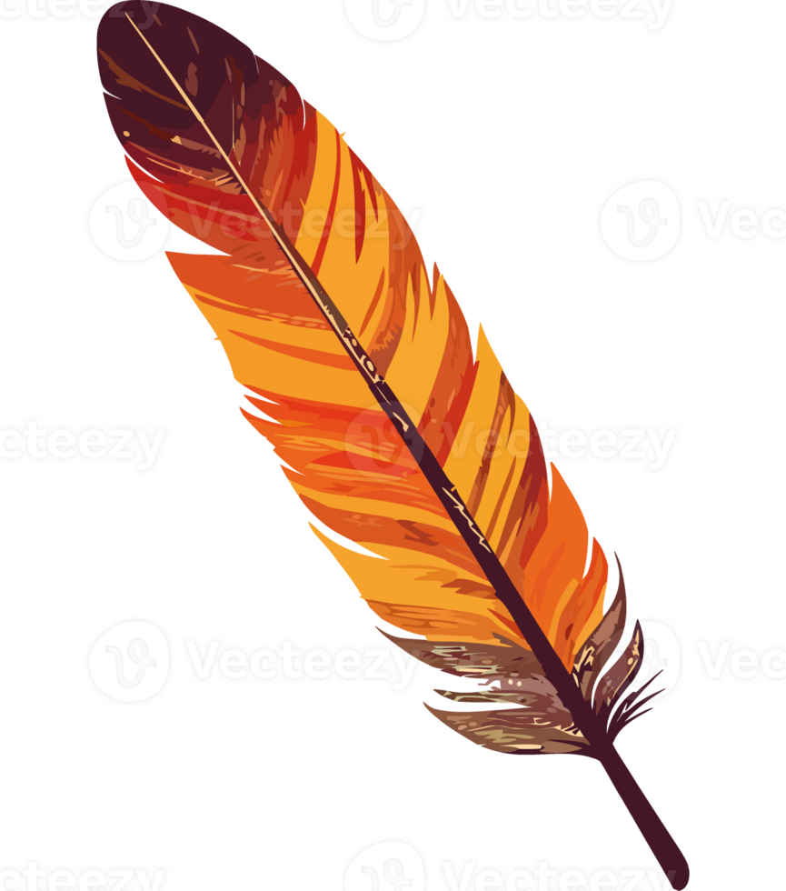 Peacock feather quill pen creates elegant nature inspired isolated png