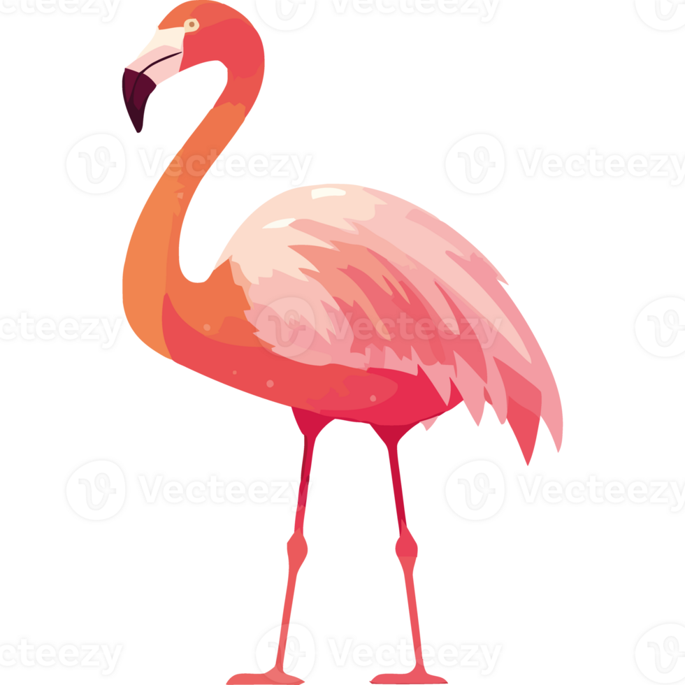 exotic flaming bird standing character isolated png