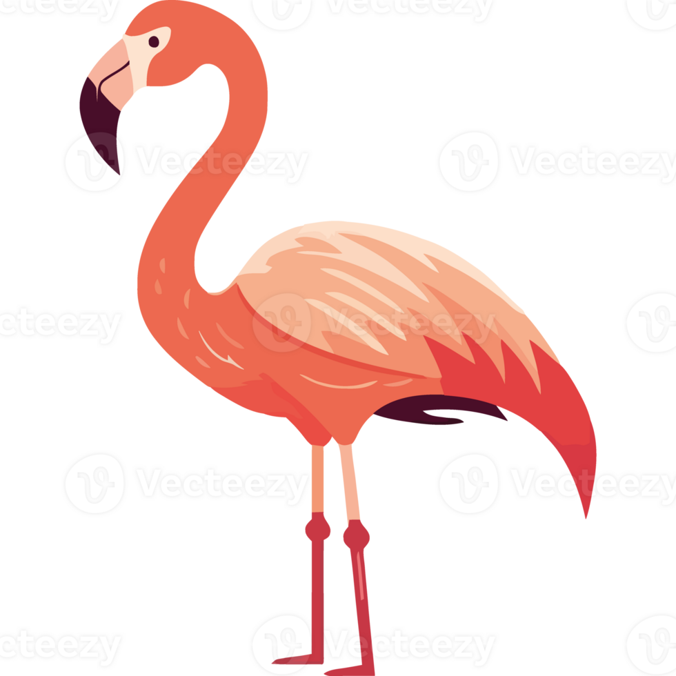 Flaming bird standing character isolated png