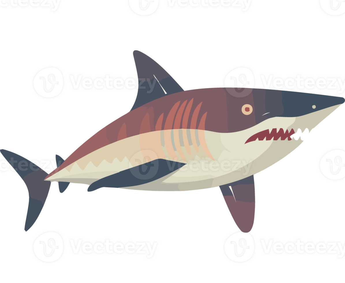 Shark icon isolated png