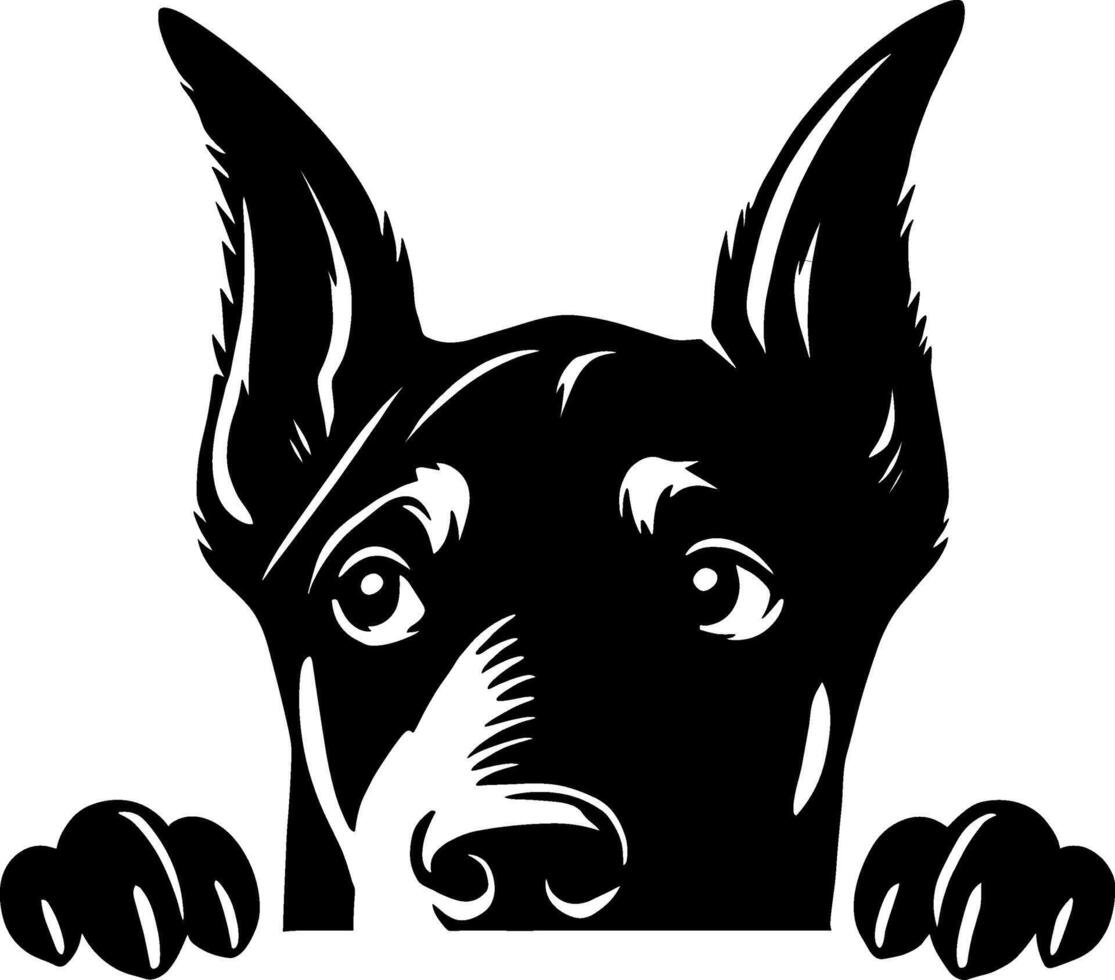 Doberman Pinscher Peeking vector