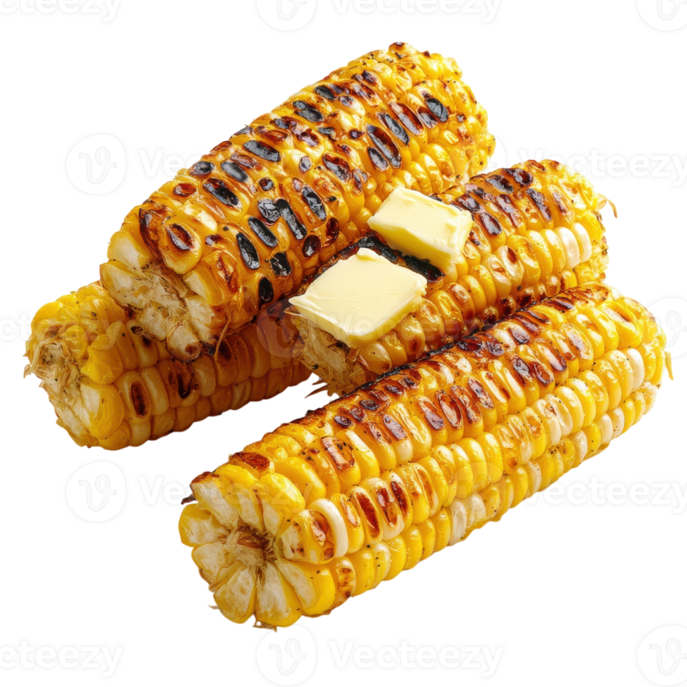 Grilled Corn on Cob on transparent background. png