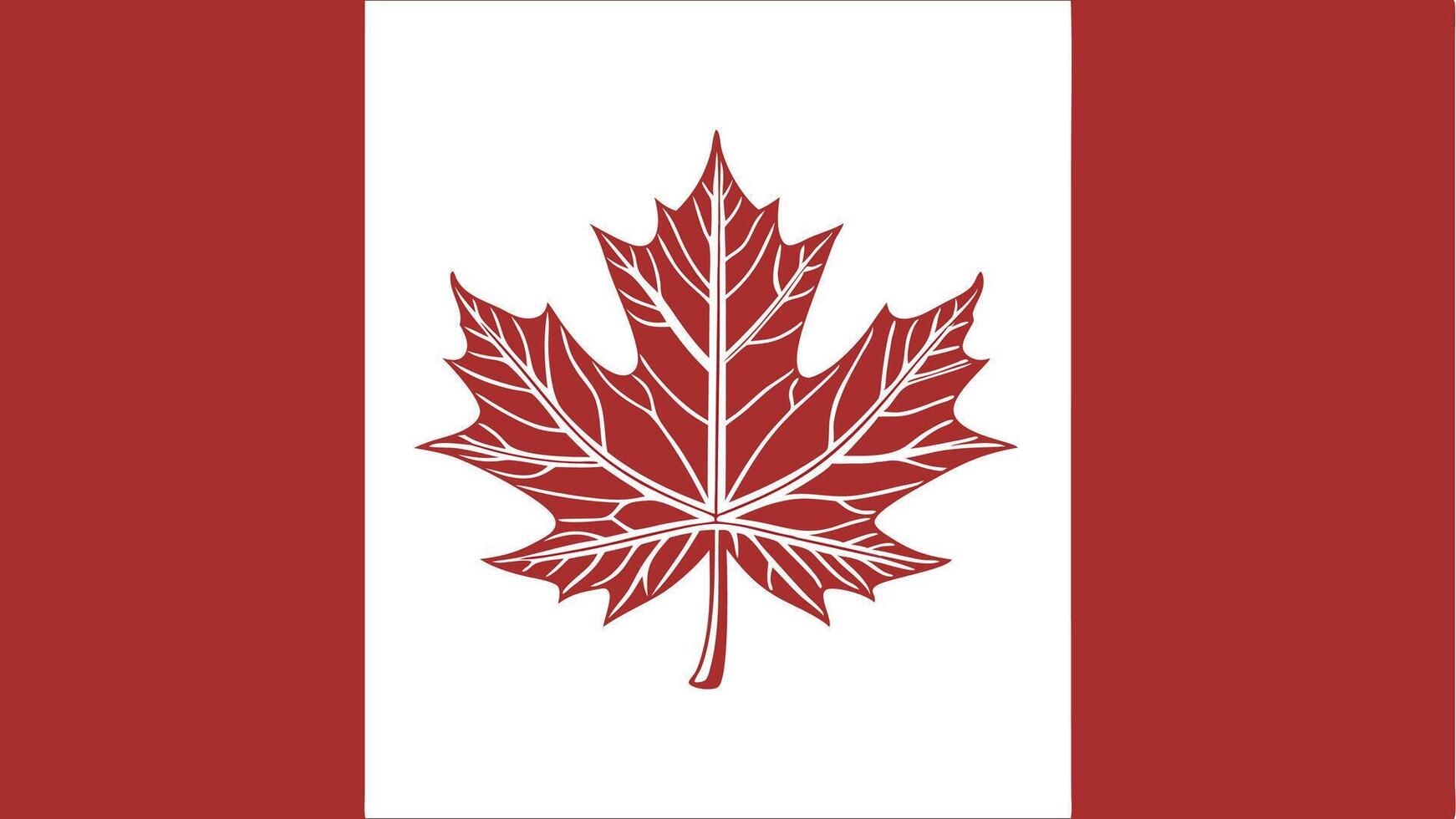 Flat Canadian Flag Design Featuring Red Maple Leaf vector