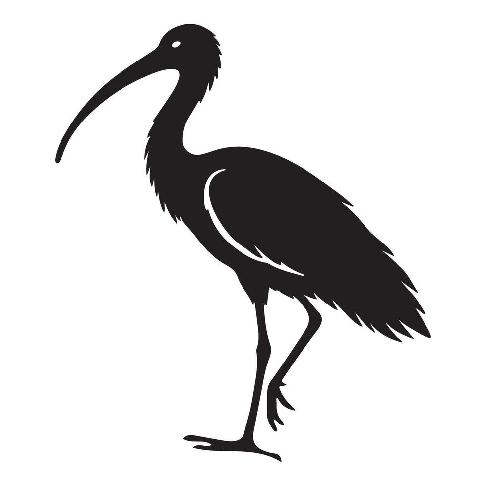 Ibis Bird Silhouette Illustration Elegant Black and White Design vector
