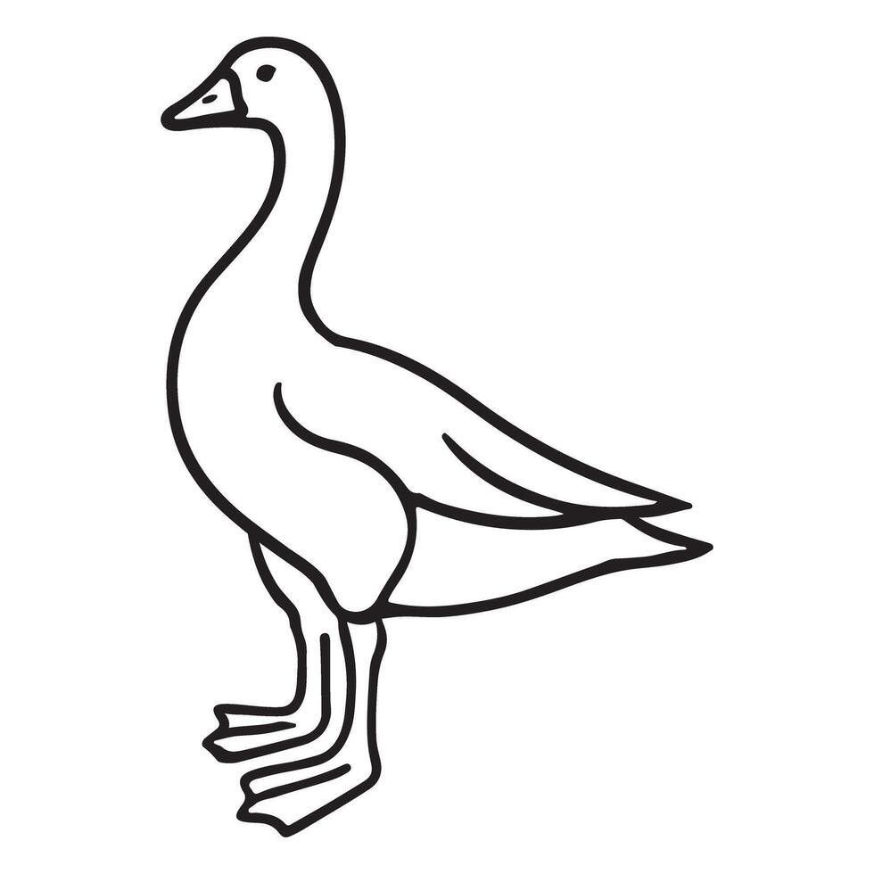 Domestic Goose Line Art Illustration vector