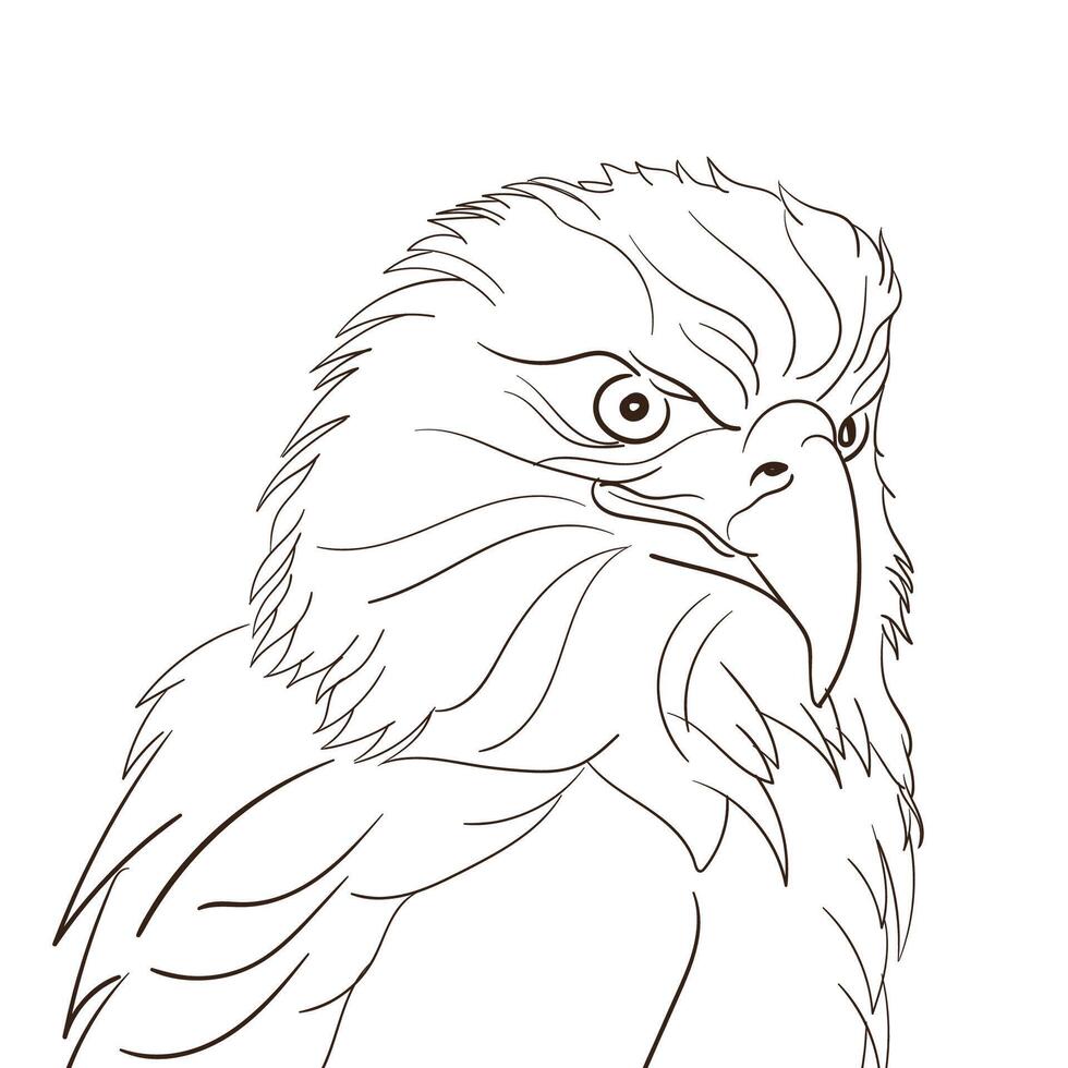 hand draw eagle head black and white art vector