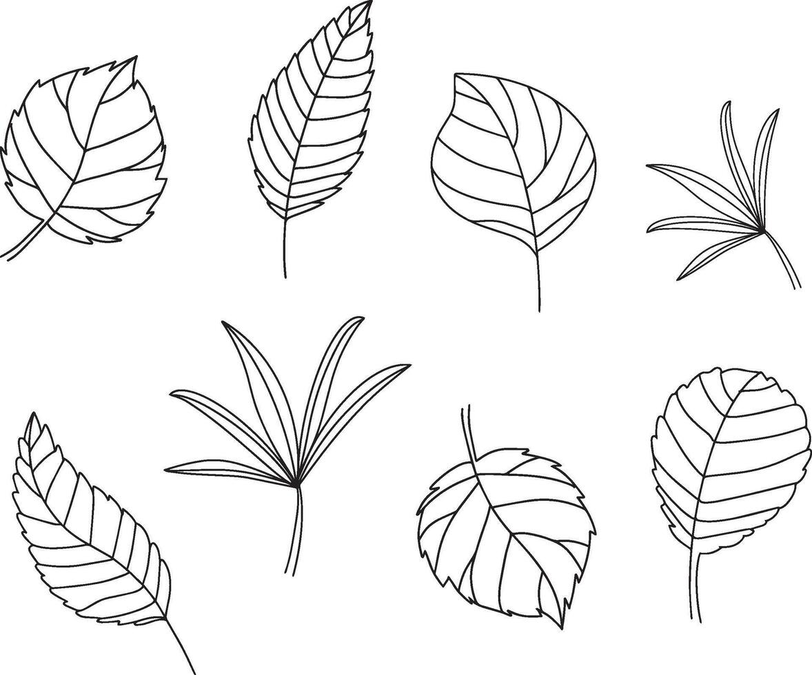 Tropical Leave Outline Set vector