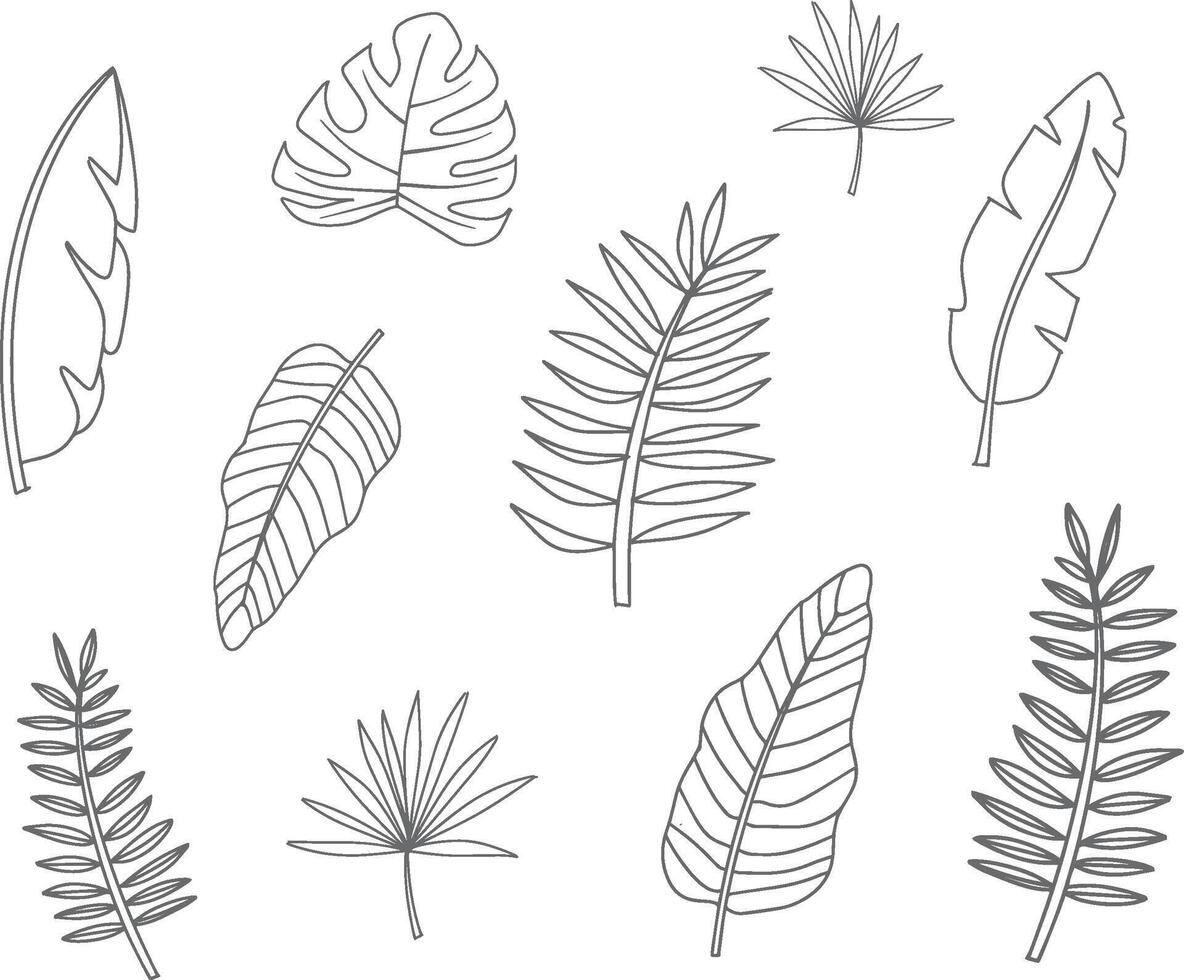 Tropical Leave Outline Pack vector