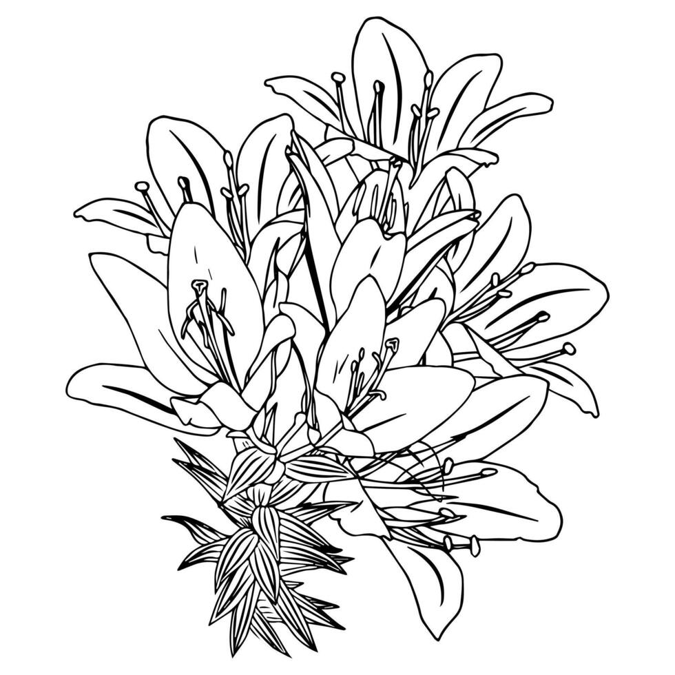Beautiful large bouquet of lilies on long stems. Doodle style. vector