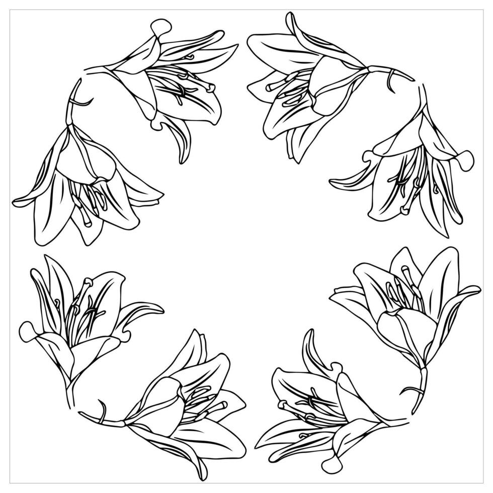 Frame with lily flowers arranged in a circle. Doodle style. vector