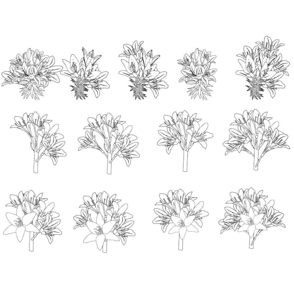 Beautiful bouquets of graceful lilies. Large set. Doodle style. vector