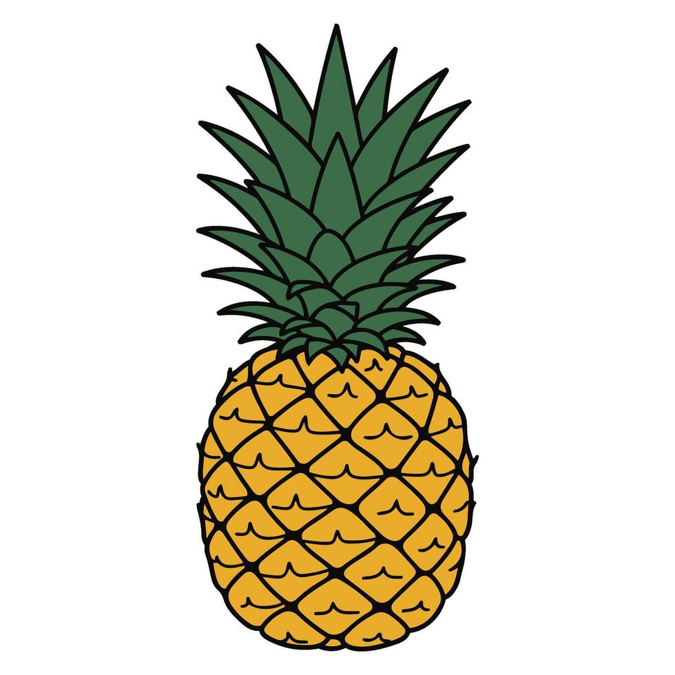 Fresh and Lively Pineapple Artwork for Unique Tropical-Themed Creations vector