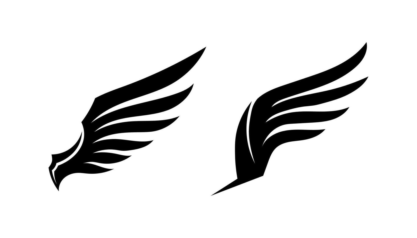 Black wing falcon and eagle logo symbol on white background vector