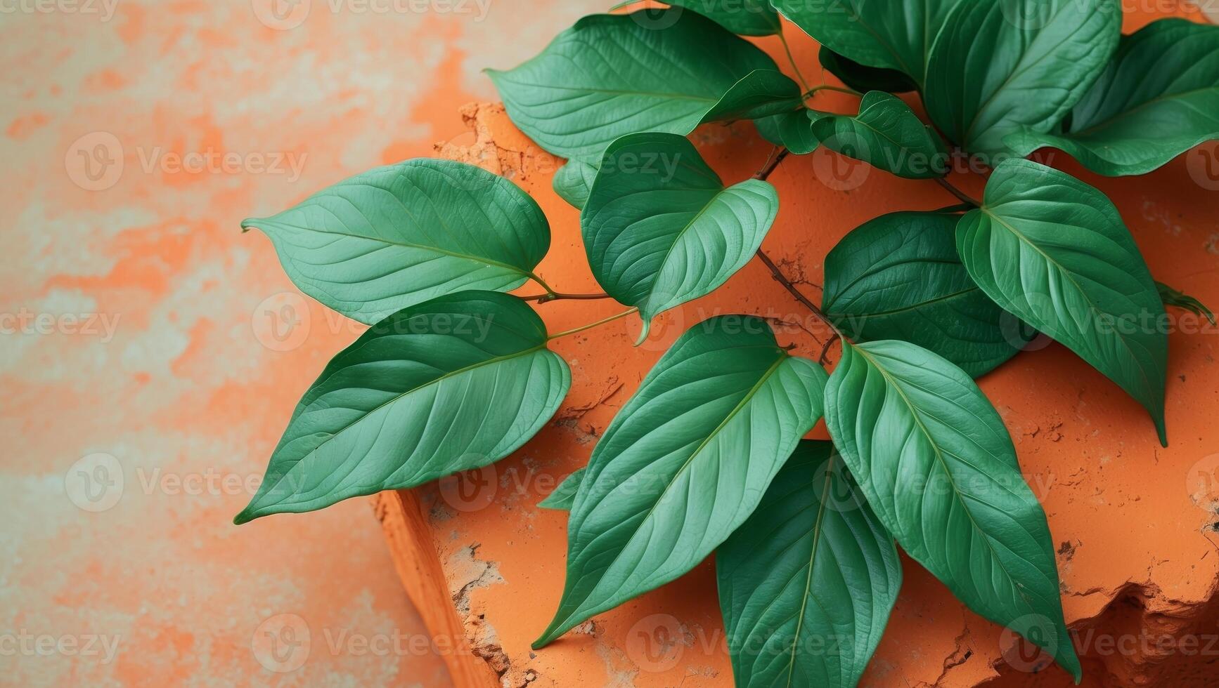 Vibrant Green Leaves on Rustic Orange Surface A Textured Botanical Display. photo