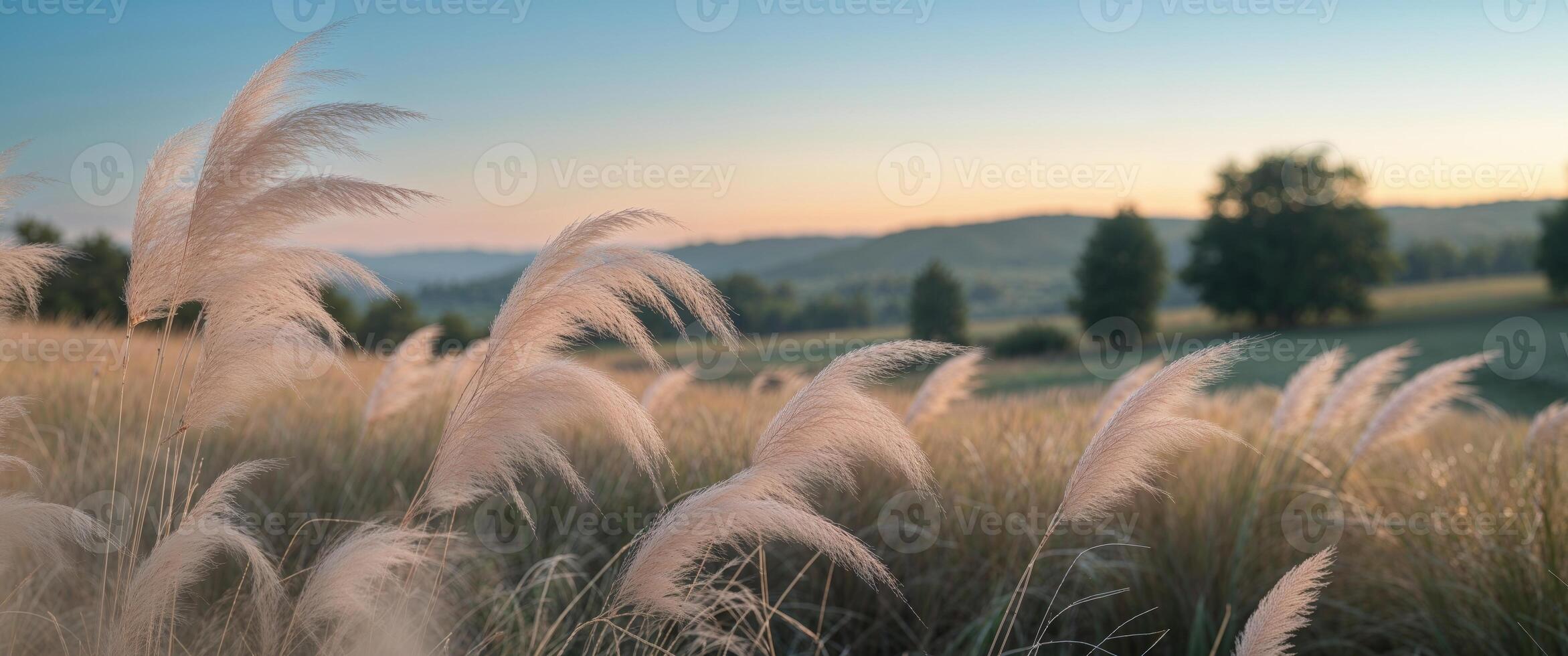 Tall grass sways gently under clear blue sky at dusk in serene countryside setting photo