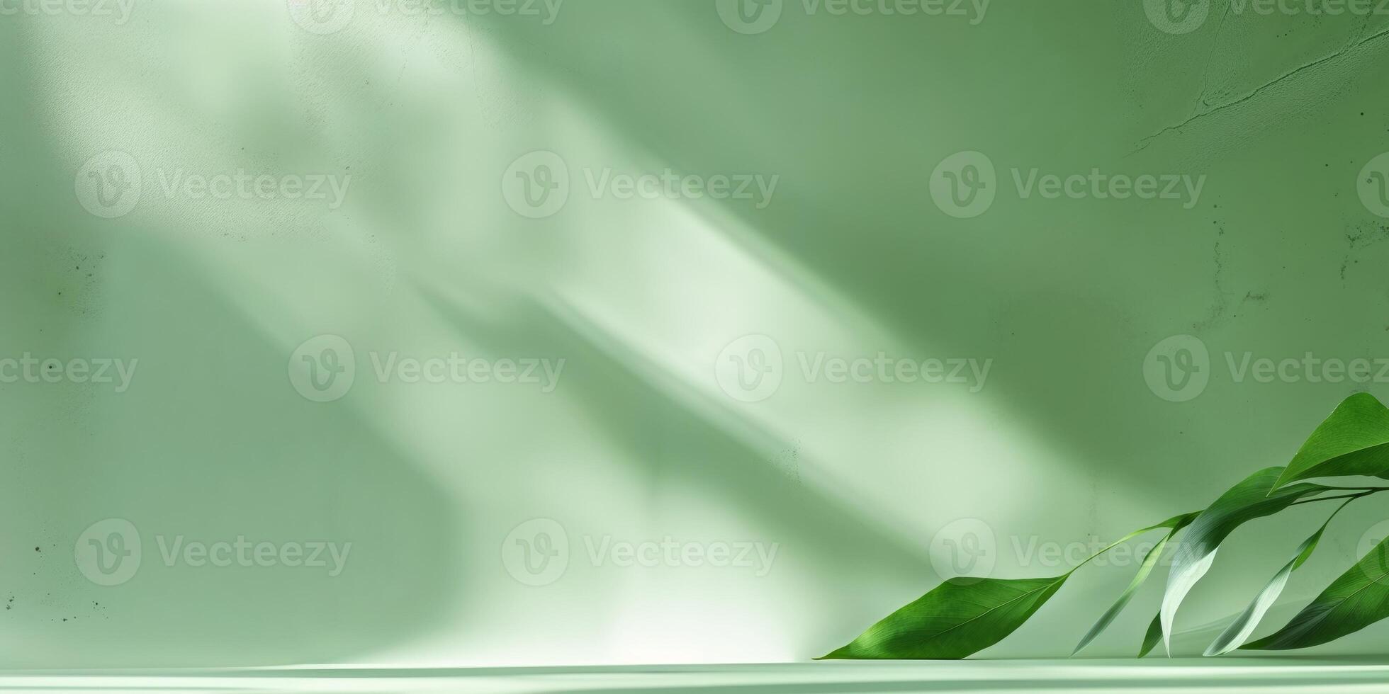 Green background for template and presentation slides photo