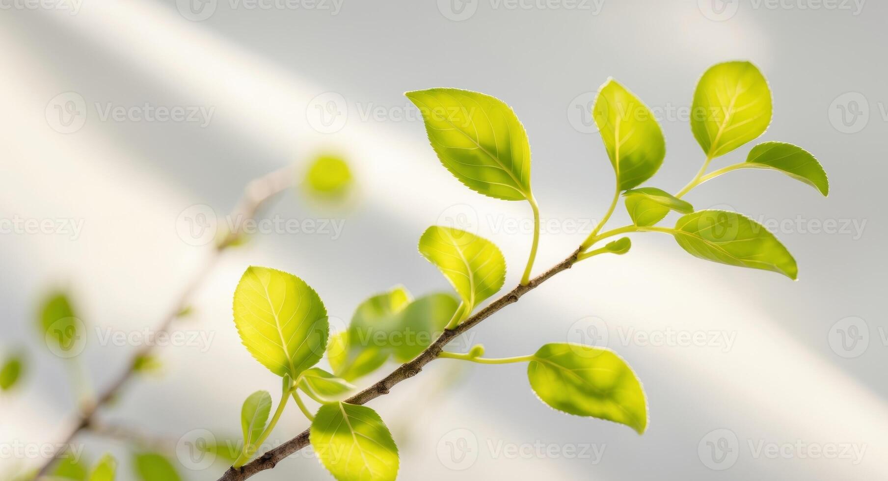 Fresh green leaves on branch create serene and calming atmosphere photo