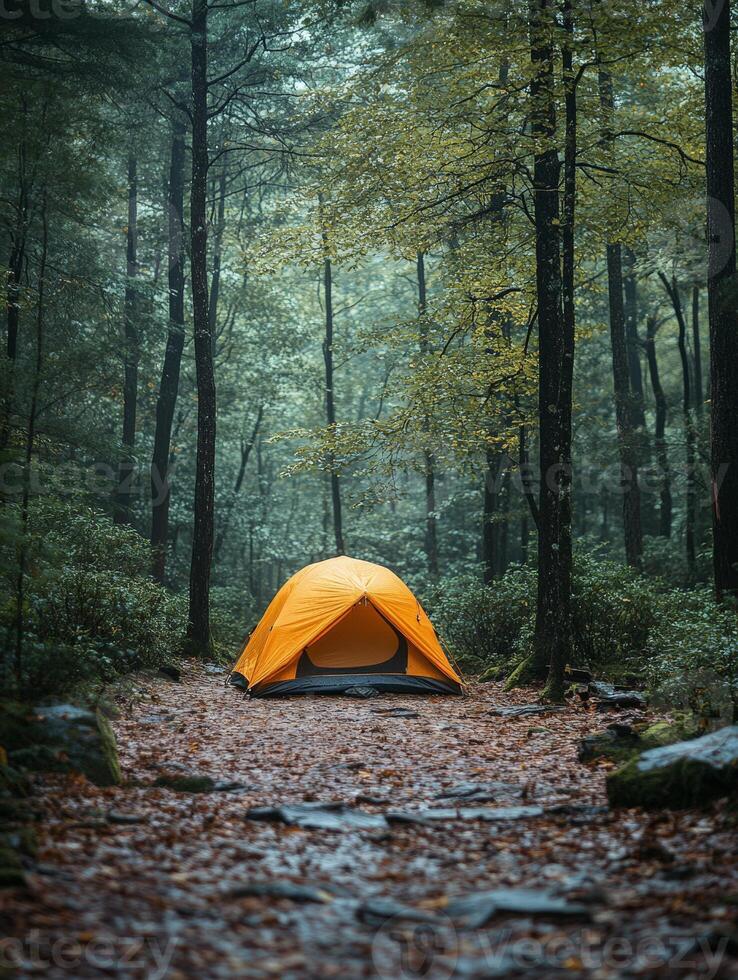 A vibrant orange tent nestled in a serene forest, surrounded by autumn leaves and trees. photo