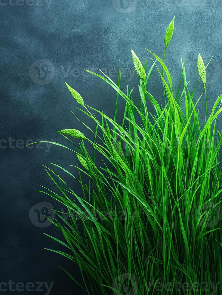 Lush green grass against a textured dark background, evoking a sense of nature and tranquility. photo