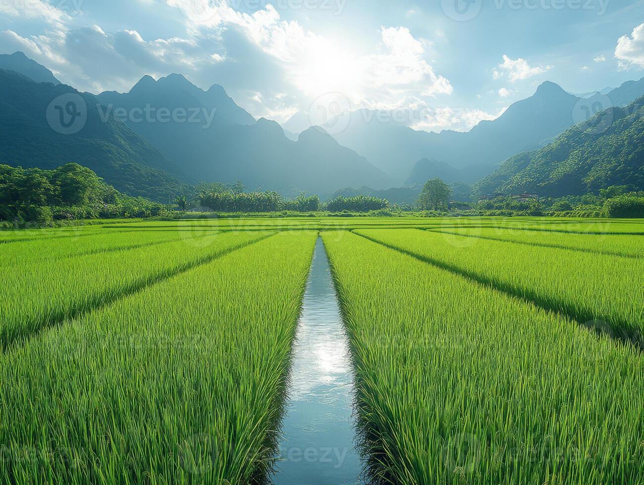 Lush green rice fields with mountains and a reflective waterway under a bright sky. photo