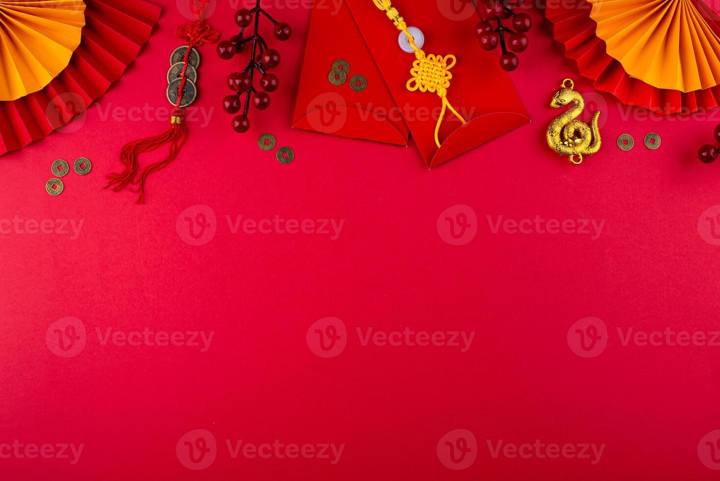 Chinese new year concept. Lunar year of snake photo